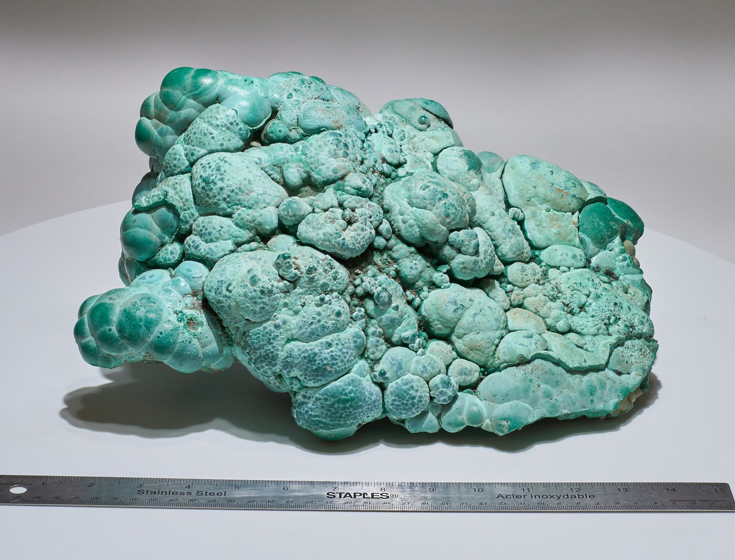 22.18 LB, 13.38 Inches GIGANTIC Cabinet Museum Botryoidal Chrysocolla Collector Specimen
