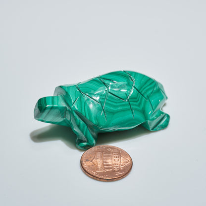 0.11 lb Carved Malachite Turtle