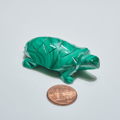 0.11 lb Carved Malachite Turtle