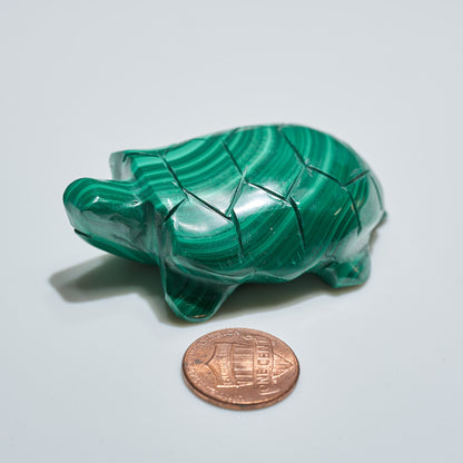 0.2 lb Carved Malachite Turtle