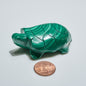 0.2 lb Carved Malachite Turtle