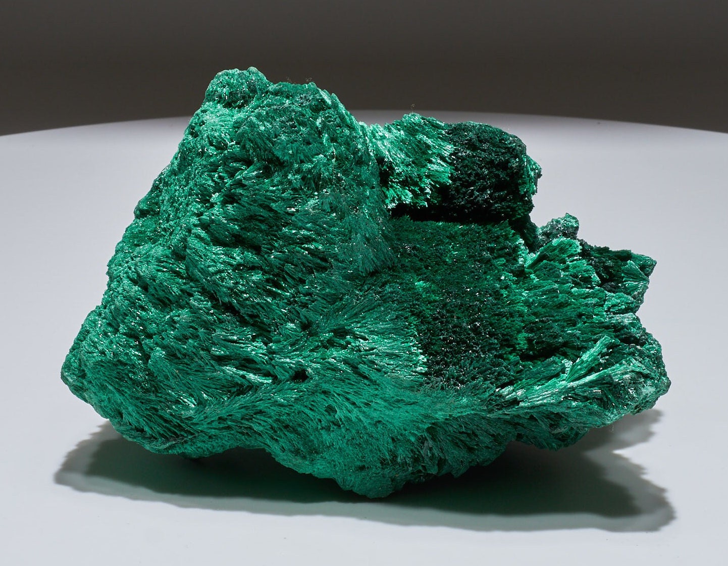 3.1 LB, 6 inches MEDIUM Cabinet Museum Piece Chatoyant Fibrous Malachite Specimen