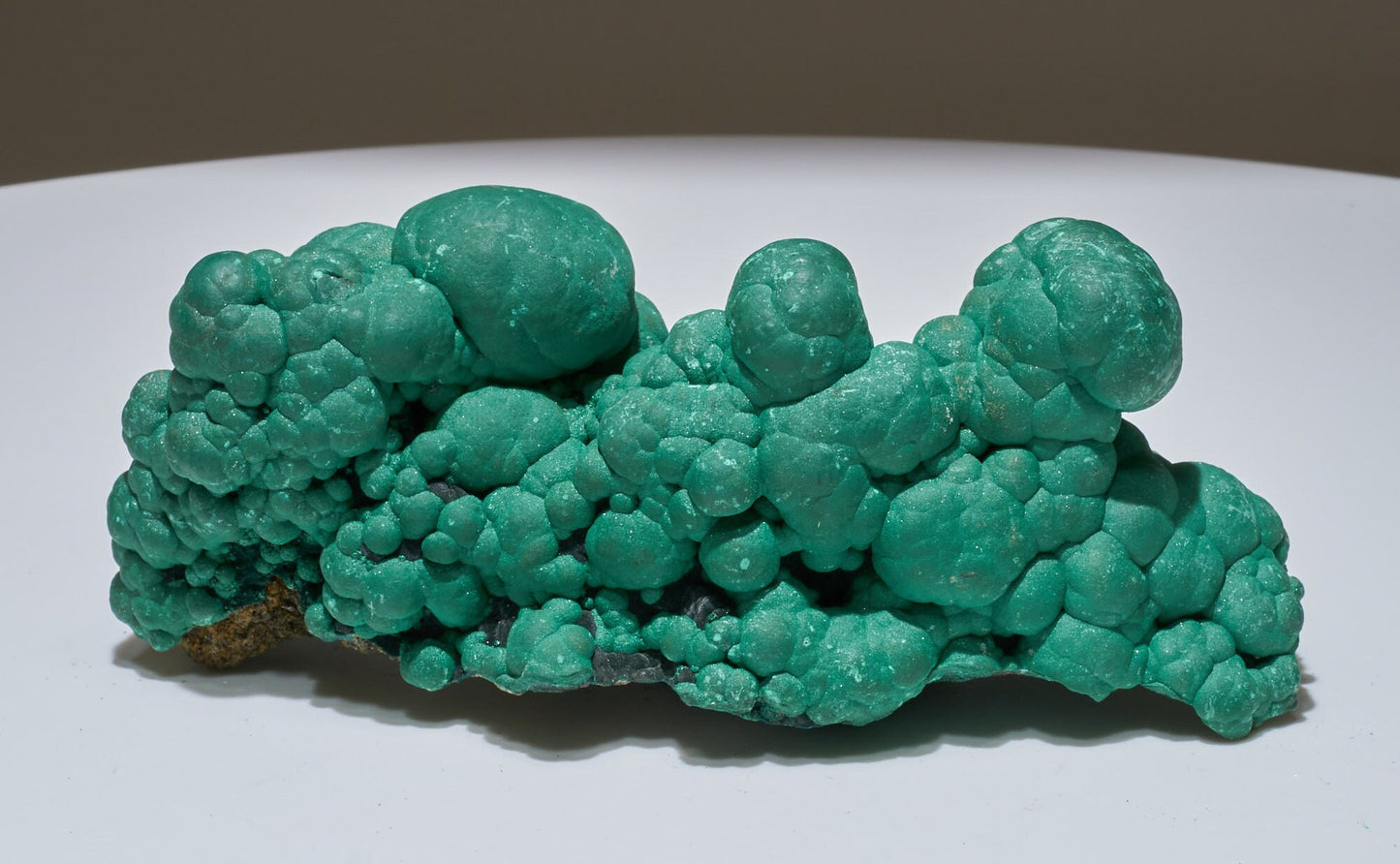 2.24 LB Cabinet Museum Botryoidal Crystallized Malachite Collector Specimen "Bubbly"