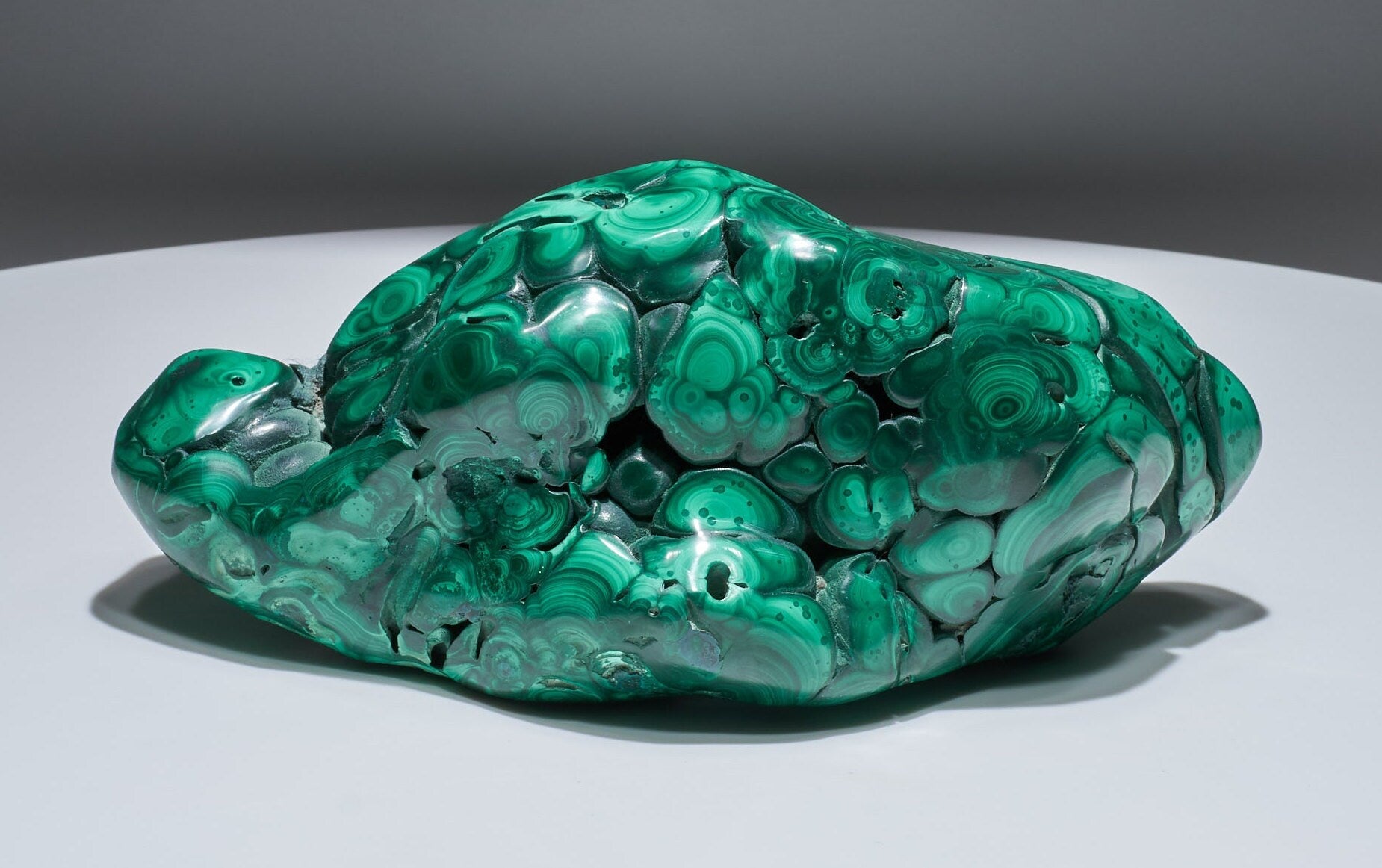 6.27 LB Polished Malachite Freeform "The Turtle Shell"