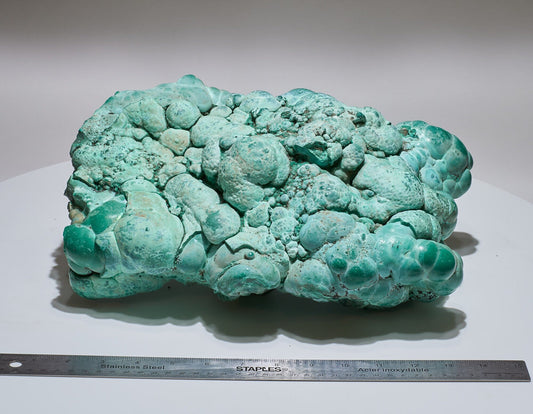 22.18 LB, 13.38 Inches GIGANTIC Cabinet Museum Botryoidal Chrysocolla Collector Specimen