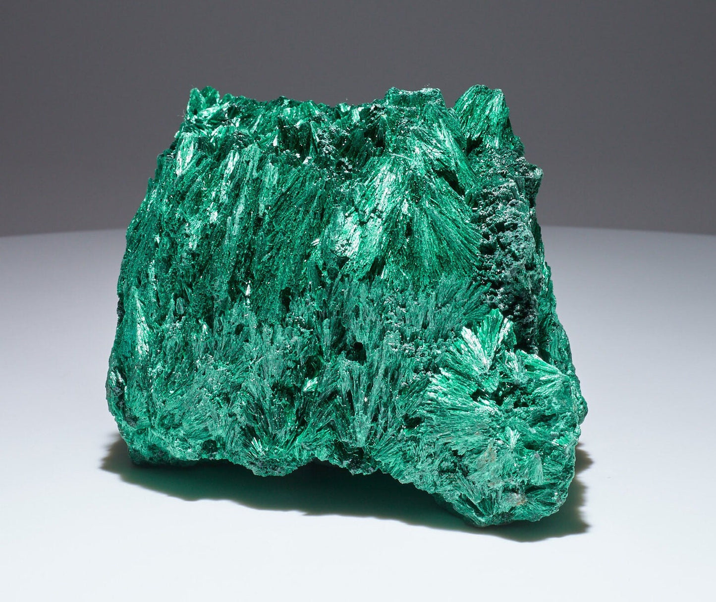 2.9 LB Cabinet Museum Chatoyant Fibrous Malachite Collector Specimen ( The Crown )