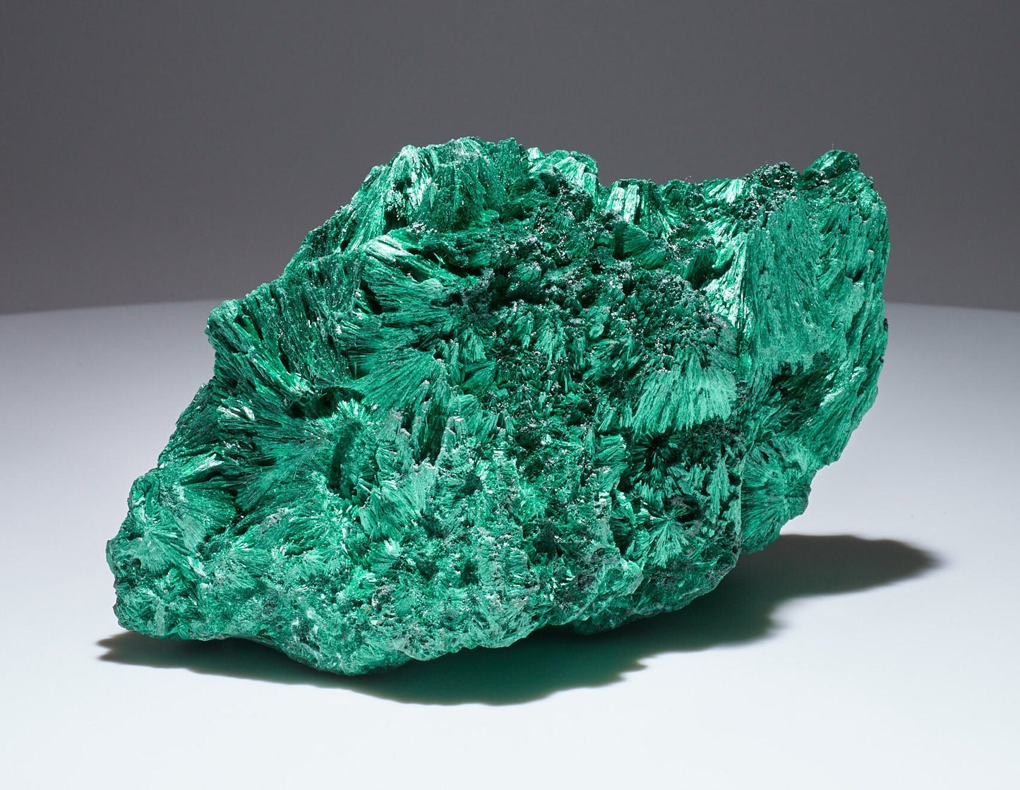 2.9 LB Cabinet Museum Chatoyant Fibrous Malachite Collector Specimen ( The Crown )