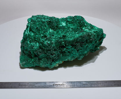 12.46 LB, 11.41 Inches LARGE Cabinet Museum Piece Chatoyant Fibrous Malachite Specimen