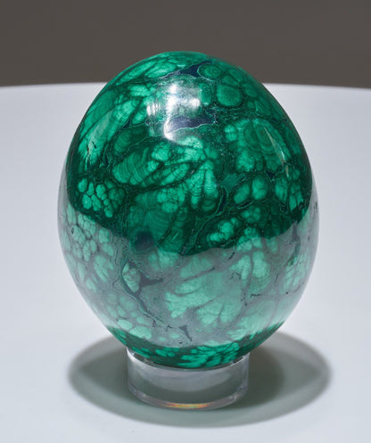 1.48 LB BIG Malachite Egg