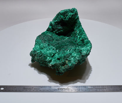 11.15 LB, 11.81 inches LARGE Cabinet Museum Piece Chatoyant Fibrous Malachite Specimen ( The Sail )