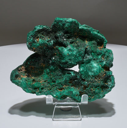 2.3 LB Botryoidal Velvet Malachite Crystallized Specimen