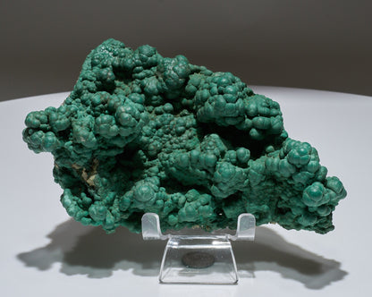 1.47 LB Botryoidal Malachite Crystallized Specimen