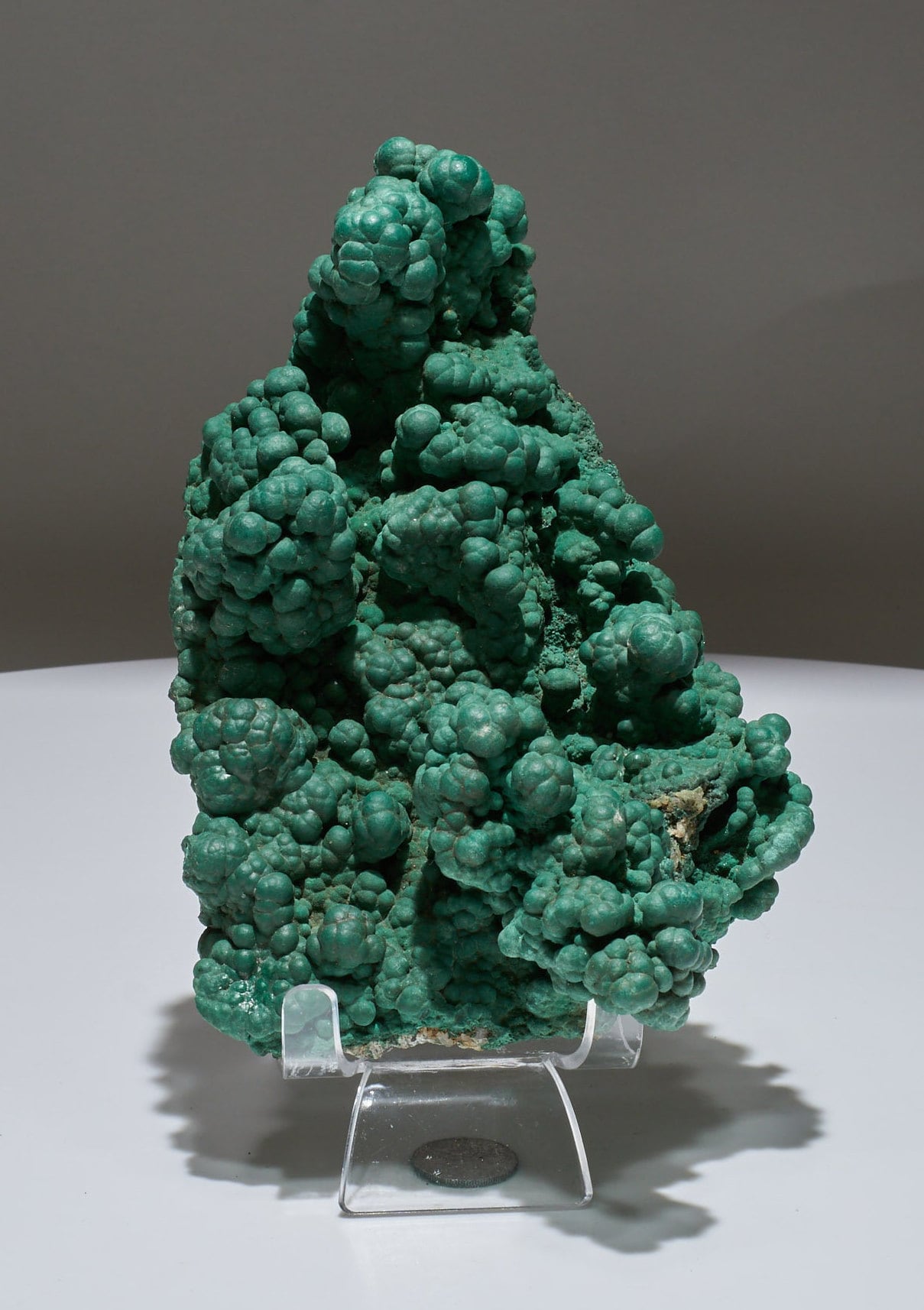 1.47 LB Botryoidal Malachite Crystallized Specimen