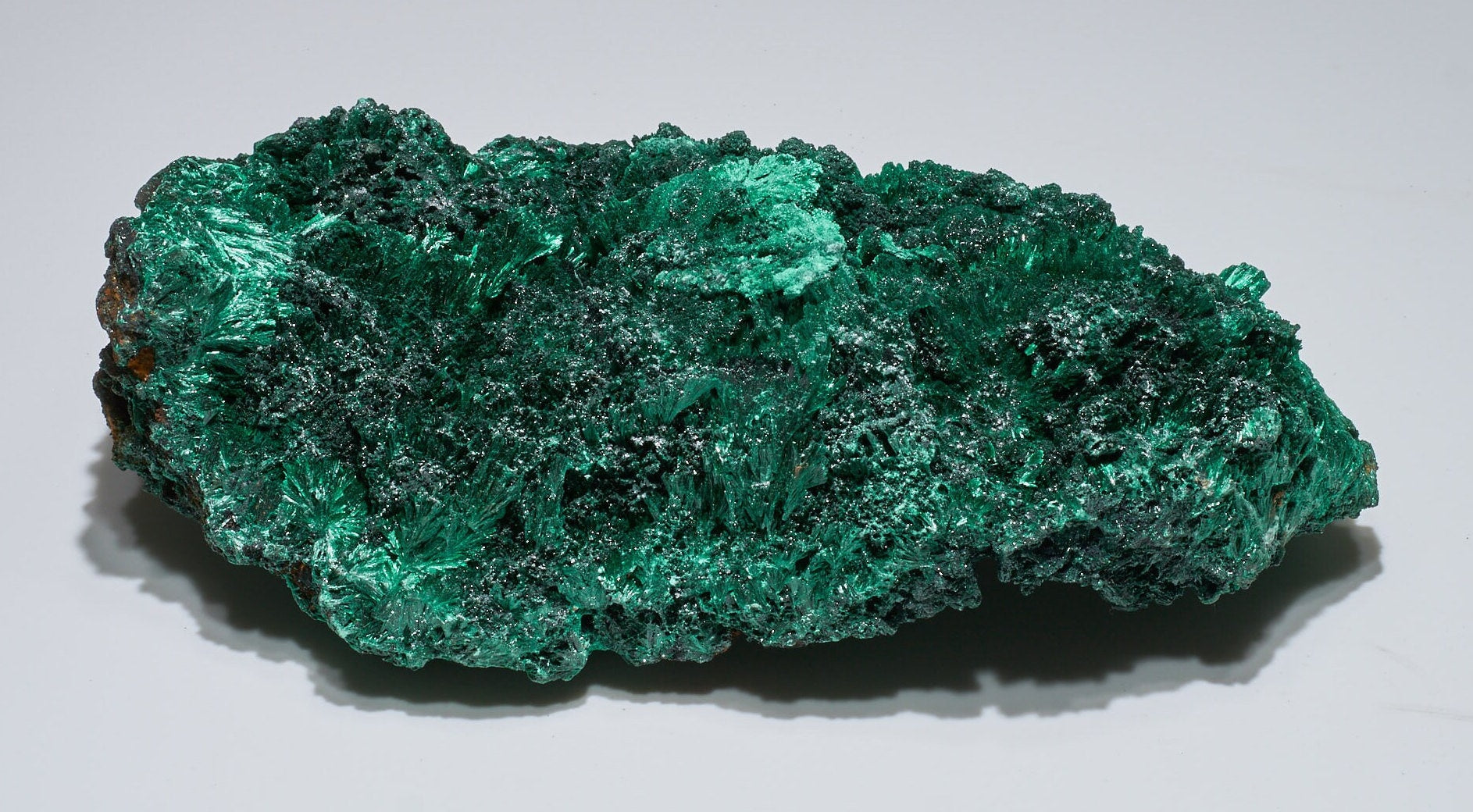 5.38 LB Fibrous Malachite Collector Specimen