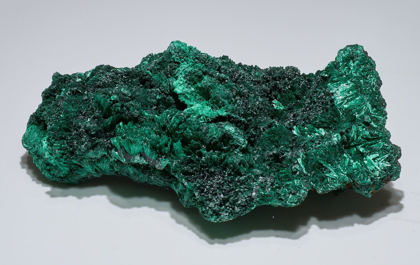 5.38 LB Fibrous Malachite Collector Specimen