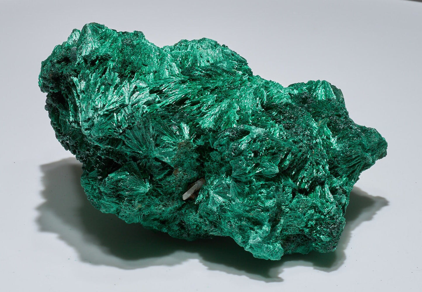 2.77 LB Fibrous Malachite Collector Specimen