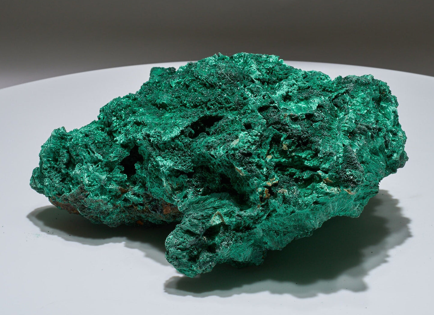 7 LB Fibrous Malachite Collector Specimen