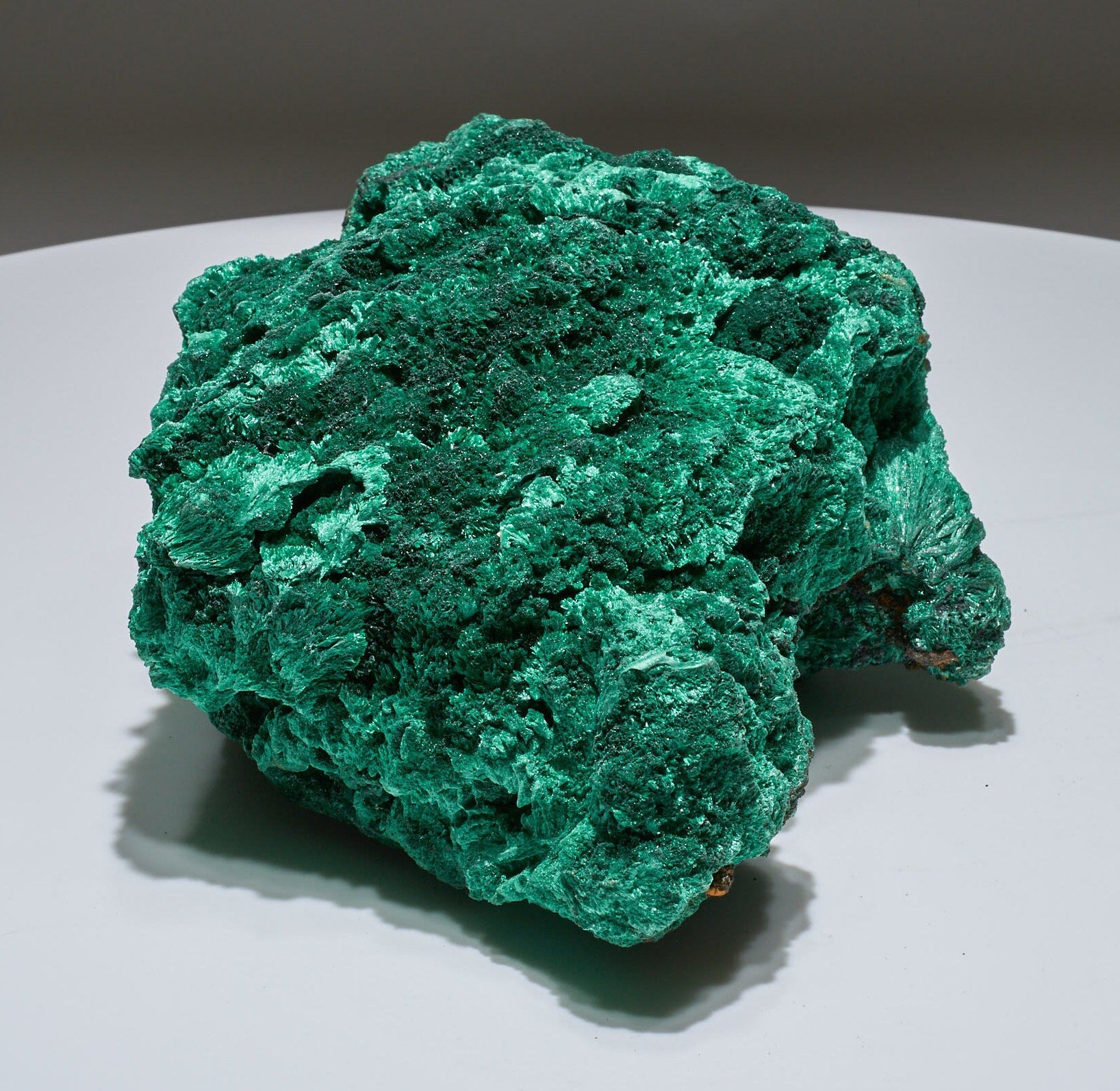 7 LB Fibrous Malachite Collector Specimen