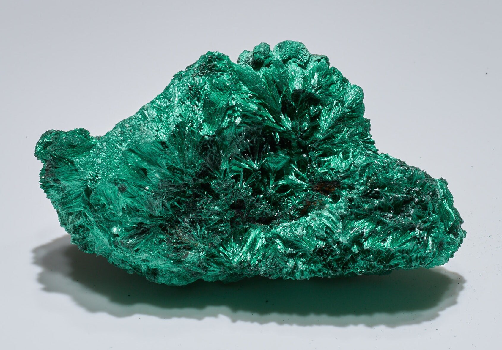 1.4 LB Fibrous Malachite Collector Specimen