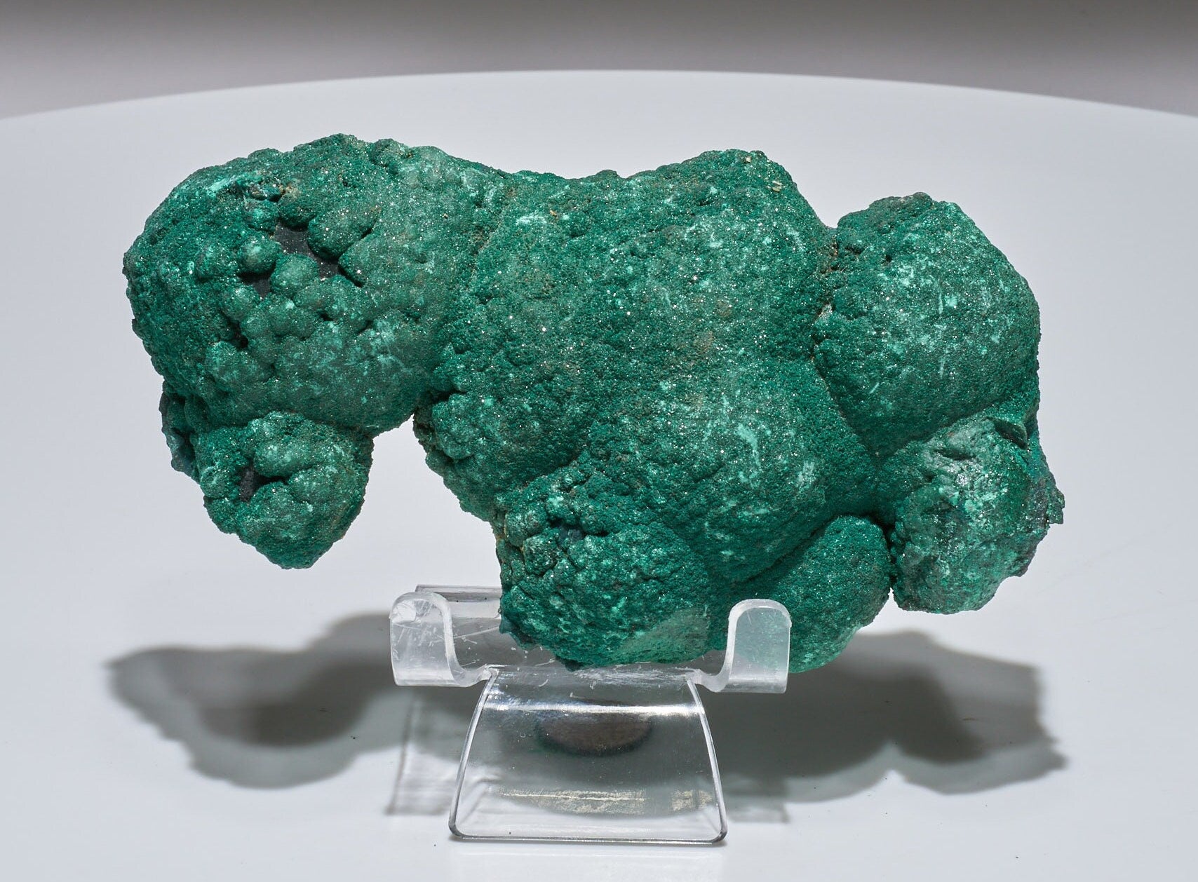 1.5 LB Botryoidal Malachite Crystallized Specimen