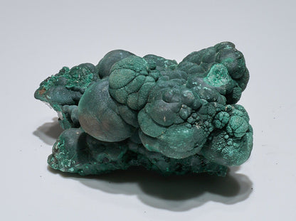 1.9 LB Botryoidal Malachite & Quartz Crystallized Specimen