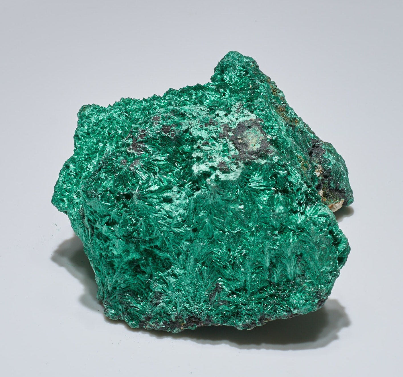 1.8 LB Fibrous Malachite Collector Specimen