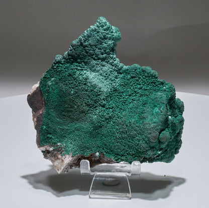 2.4 LB Botryoidal Malachite & Quartz Crystallized Specimen