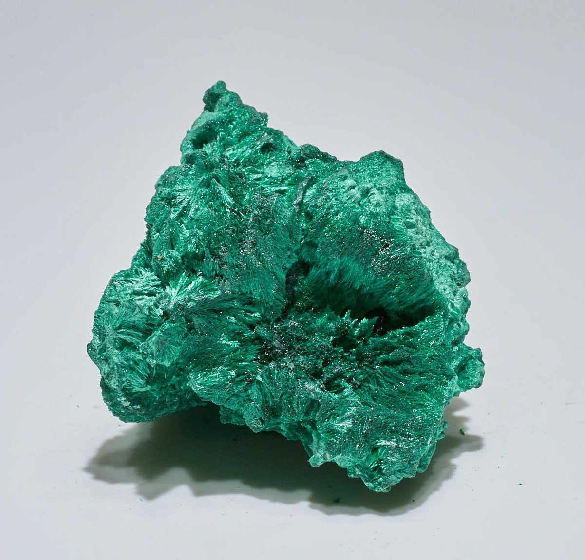 0.3 LB Fibrous Malachite Collector Specimen