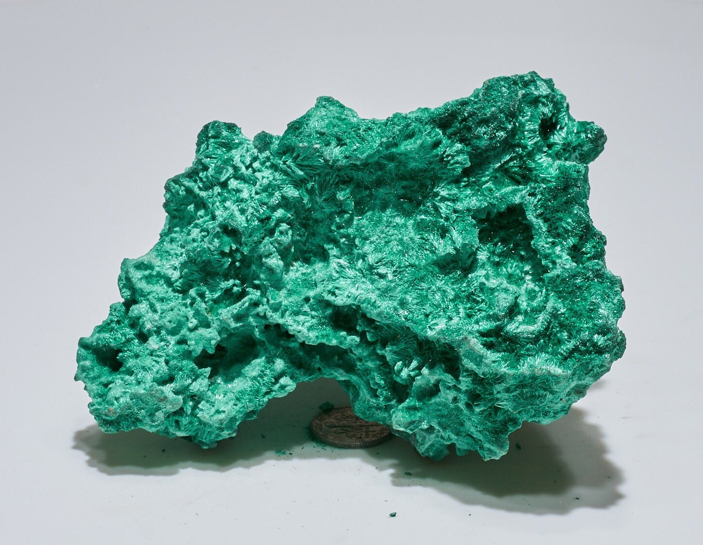 0.3 LB Fibrous Malachite Collector Specimen