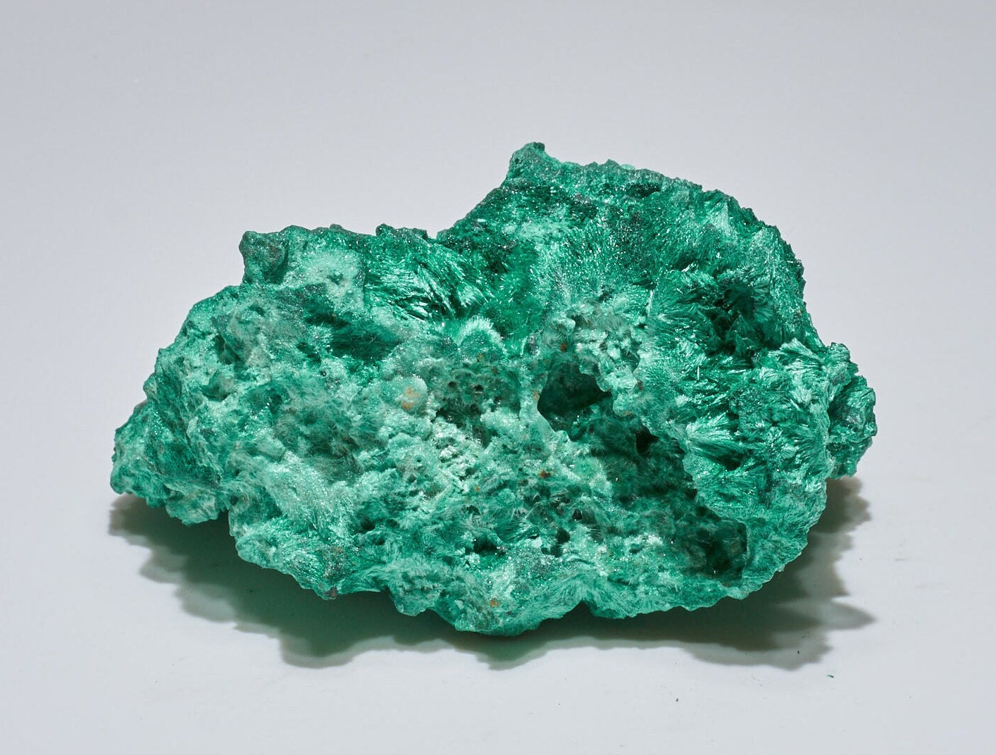 0.3 LB Fibrous Malachite Collector Specimen