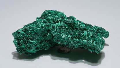 1 LB Fibrous Malachite Collector Specimen