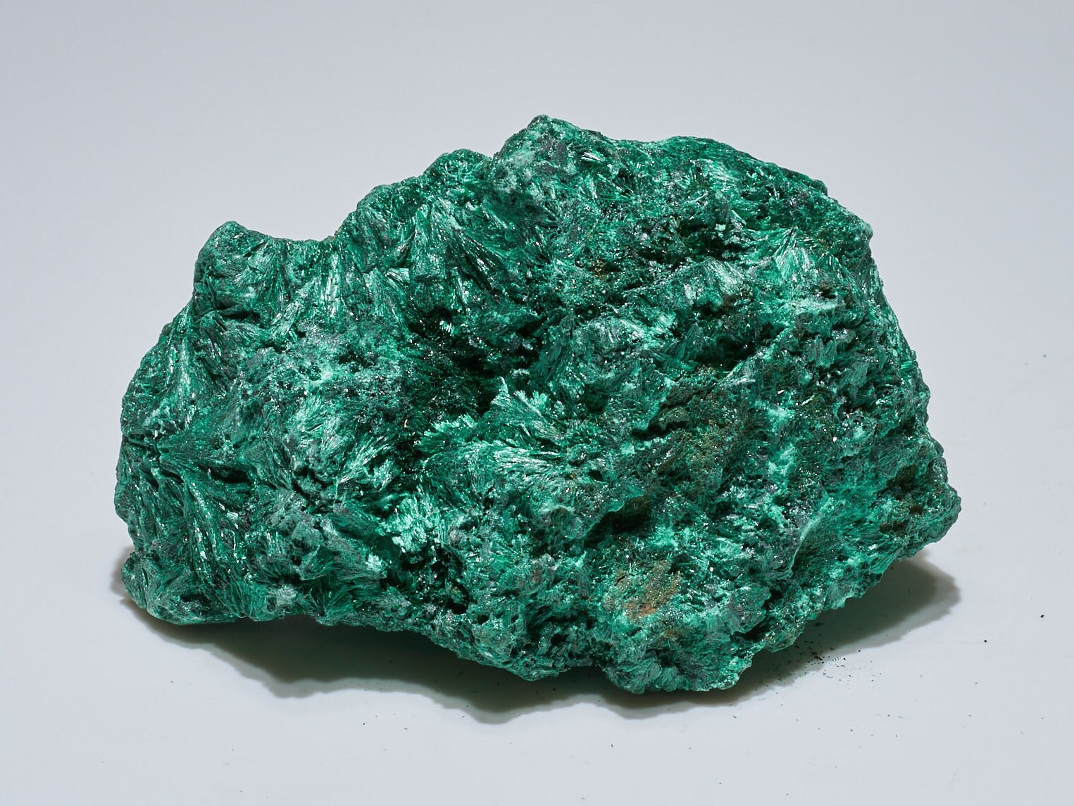 1.6 LB Fibrous Malachite Collector Specimen