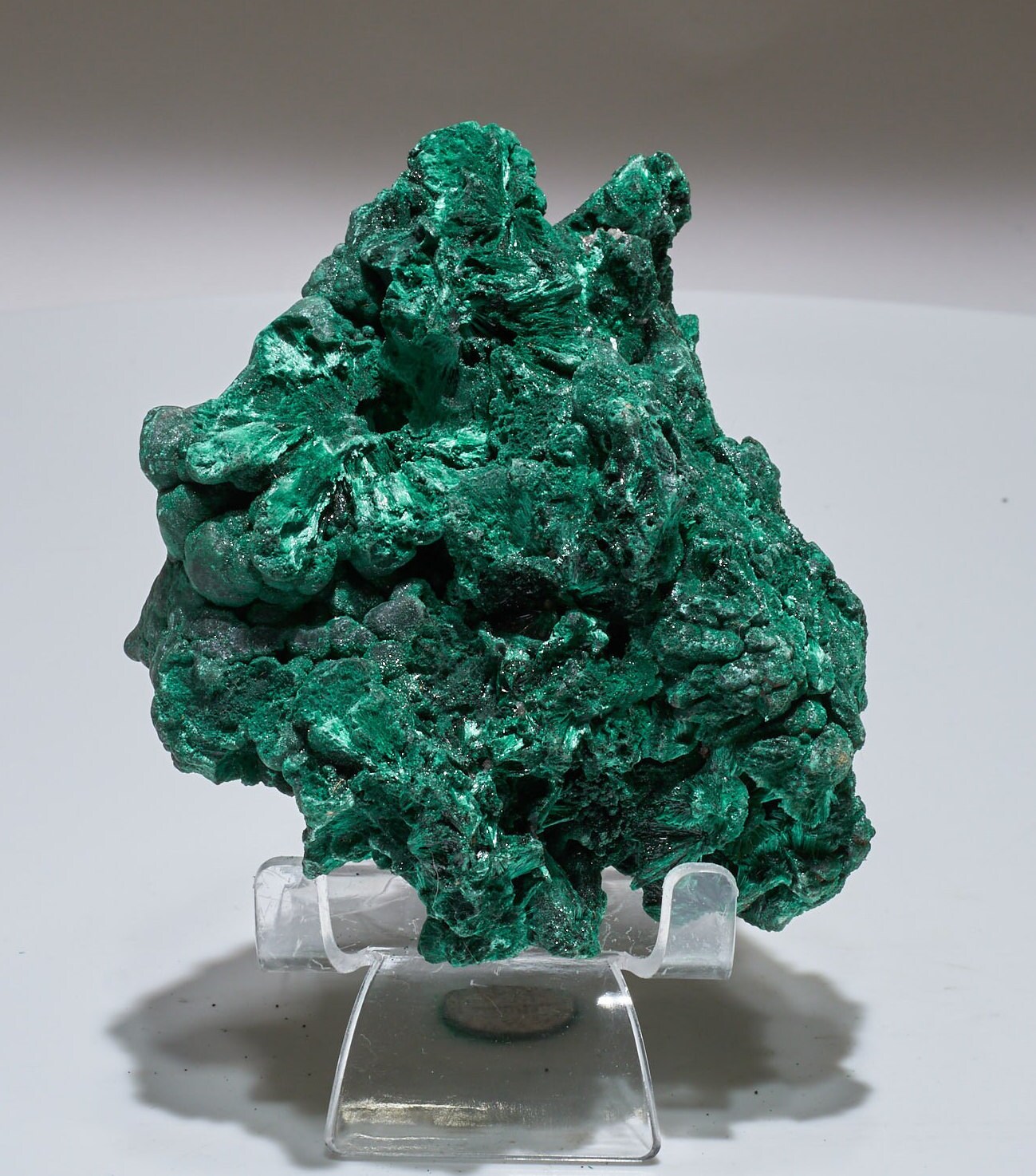 1 LB Fibrous Malachite Collector Specimen