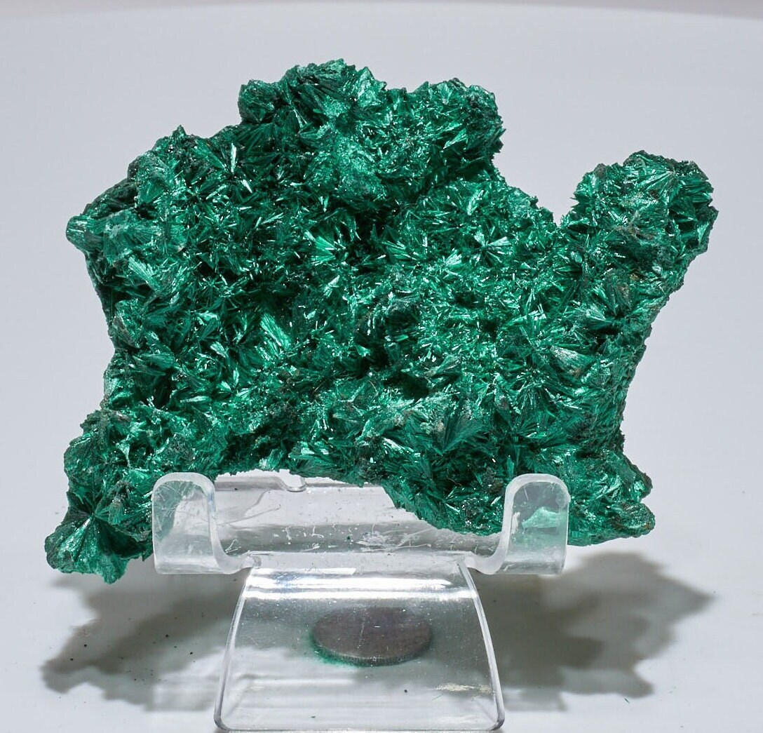 0.4 LB Fibrous Malachite Collector Specimen