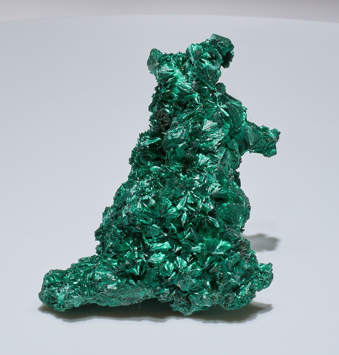 0.6 LB Fibrous Malachite Collector Specimen