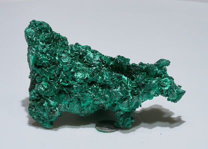 0.6 LB Fibrous Malachite Collector Specimen