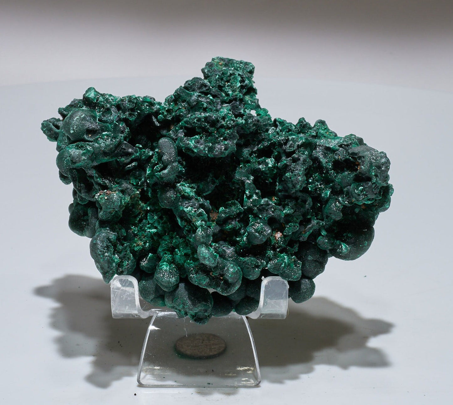 1 LB Fibrous Malachite Collector Specimen