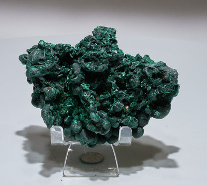 1 LB Fibrous Malachite Collector Specimen