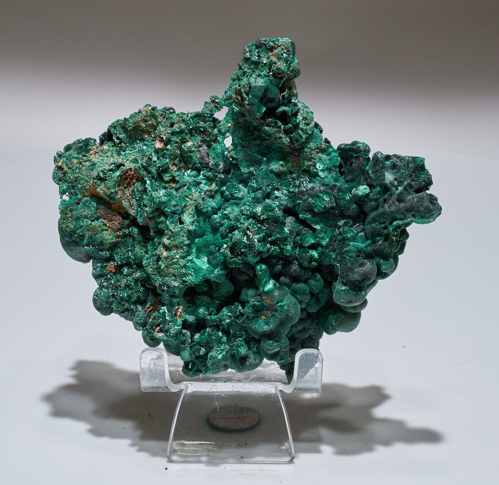 1 LB Fibrous Malachite Collector Specimen