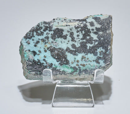 0.36 LB Crystallized Chrysocolla & Malachite Specimen