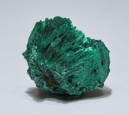 0.15 LB Fibrous Malachite Specimen