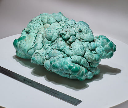 22.18 LB, 13.38 Inches GIGANTIC Cabinet Museum Botryoidal Chrysocolla Collector Specimen