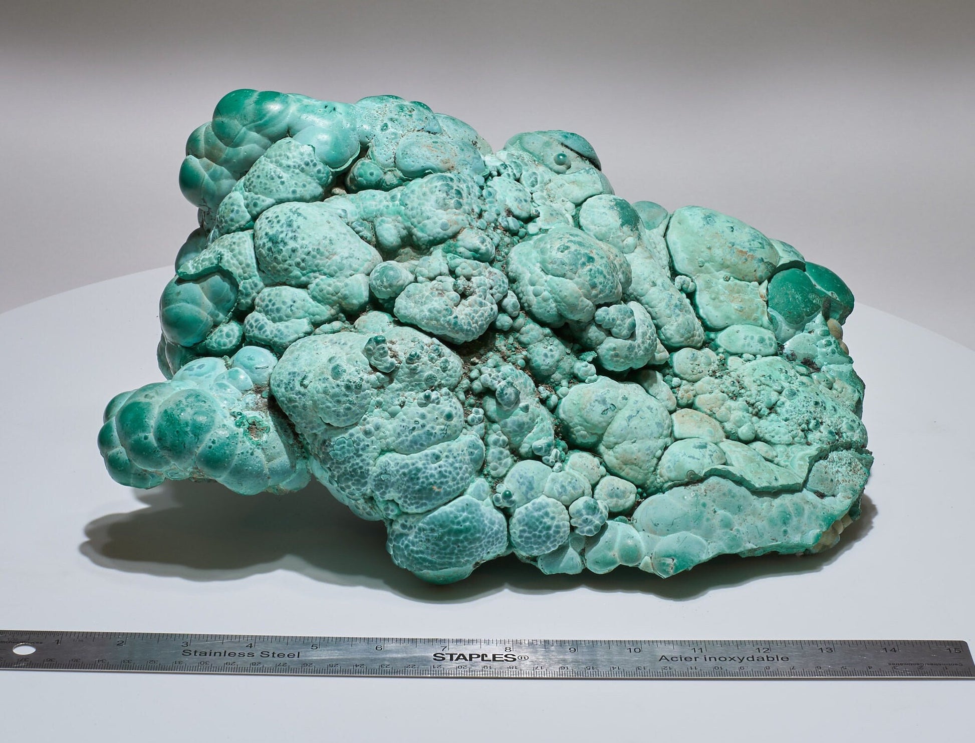 22.18 LB, 13.38 Inches GIGANTIC Cabinet Museum Botryoidal Chrysocolla Collector Specimen