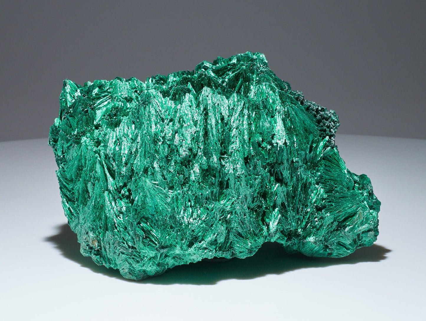 2.9 LB Cabinet Museum Chatoyant Fibrous Malachite Collector Specimen ( The Crown )