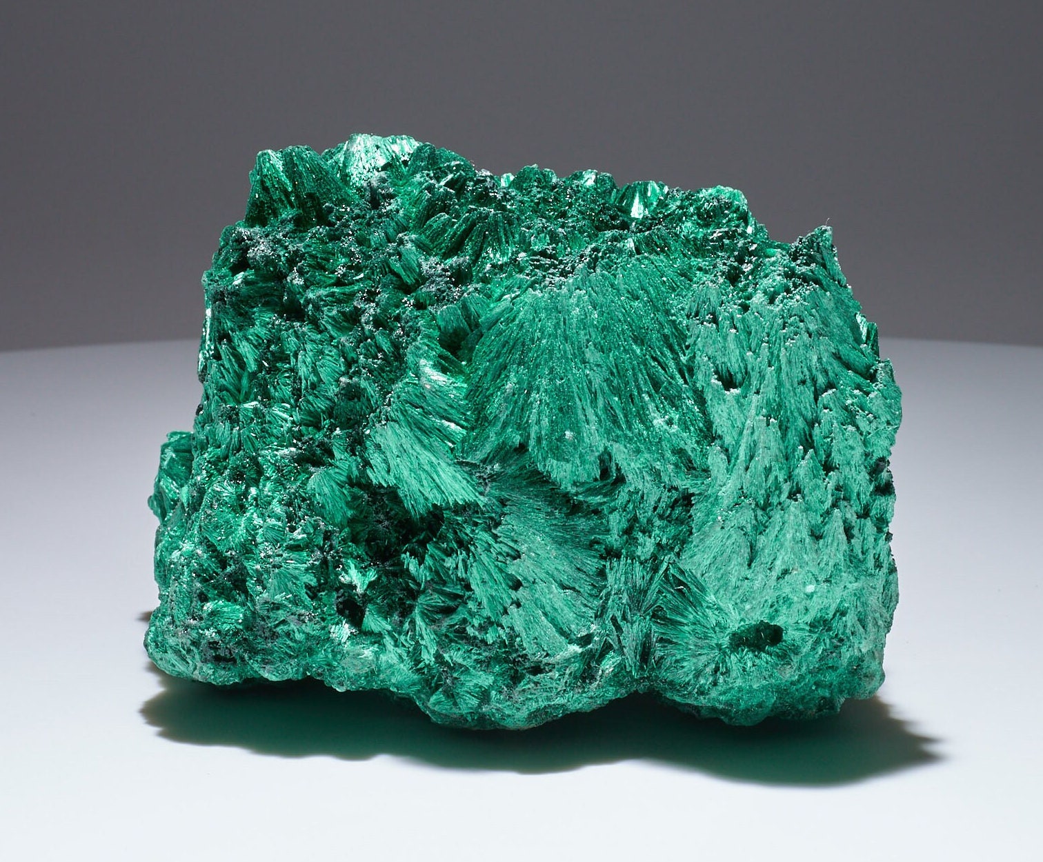 2.9 LB Cabinet Museum Chatoyant Fibrous Malachite Collector Specimen ( The Crown )