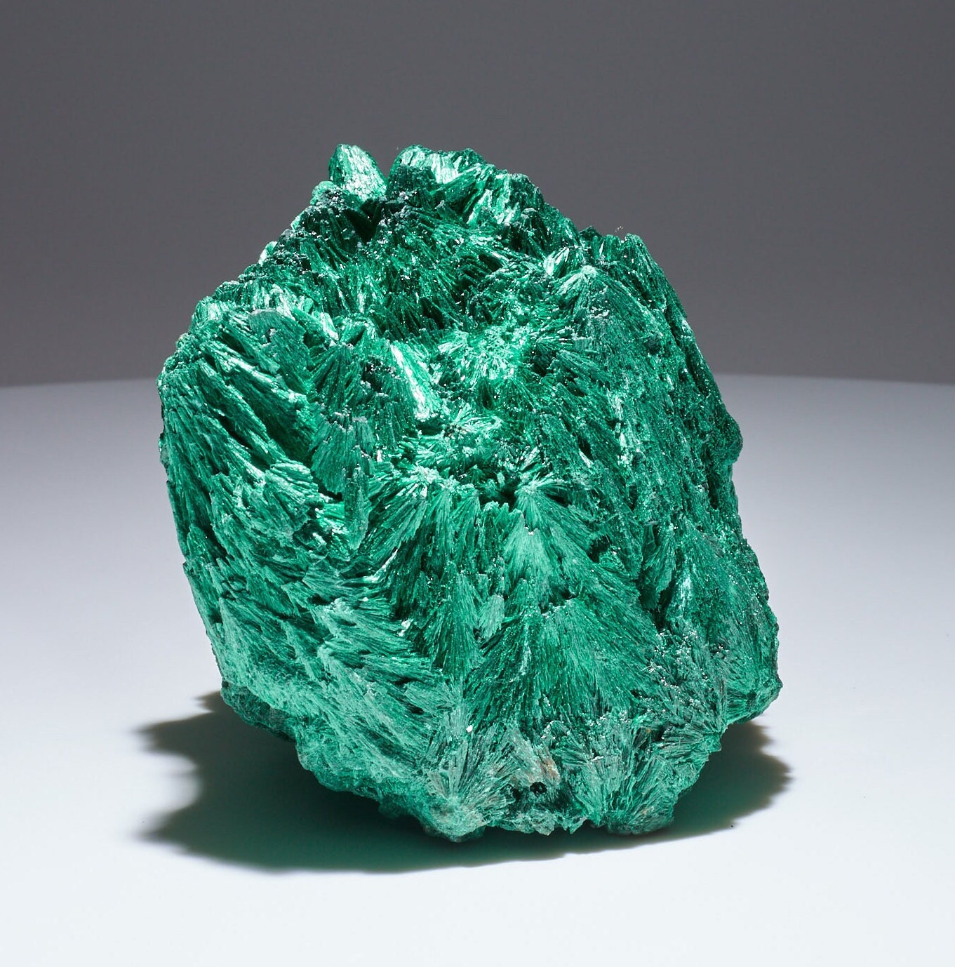 2.9 LB Cabinet Museum Chatoyant Fibrous Malachite Collector Specimen ( The Crown )