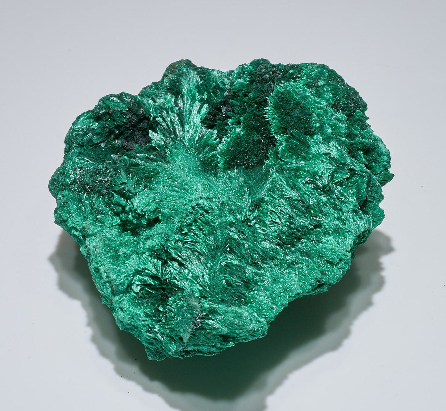 2.8 LB Fibrous Malachite Collector Specimen