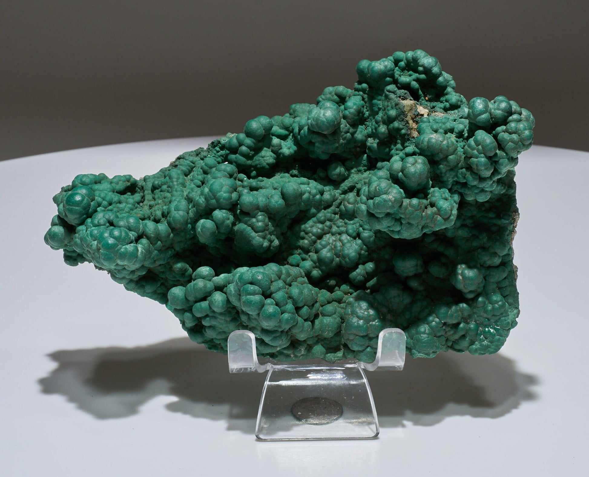 1.47 LB Botryoidal Malachite Crystallized Specimen