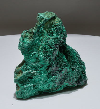 3.75 LB Fibrous Malachite Collector Specimen