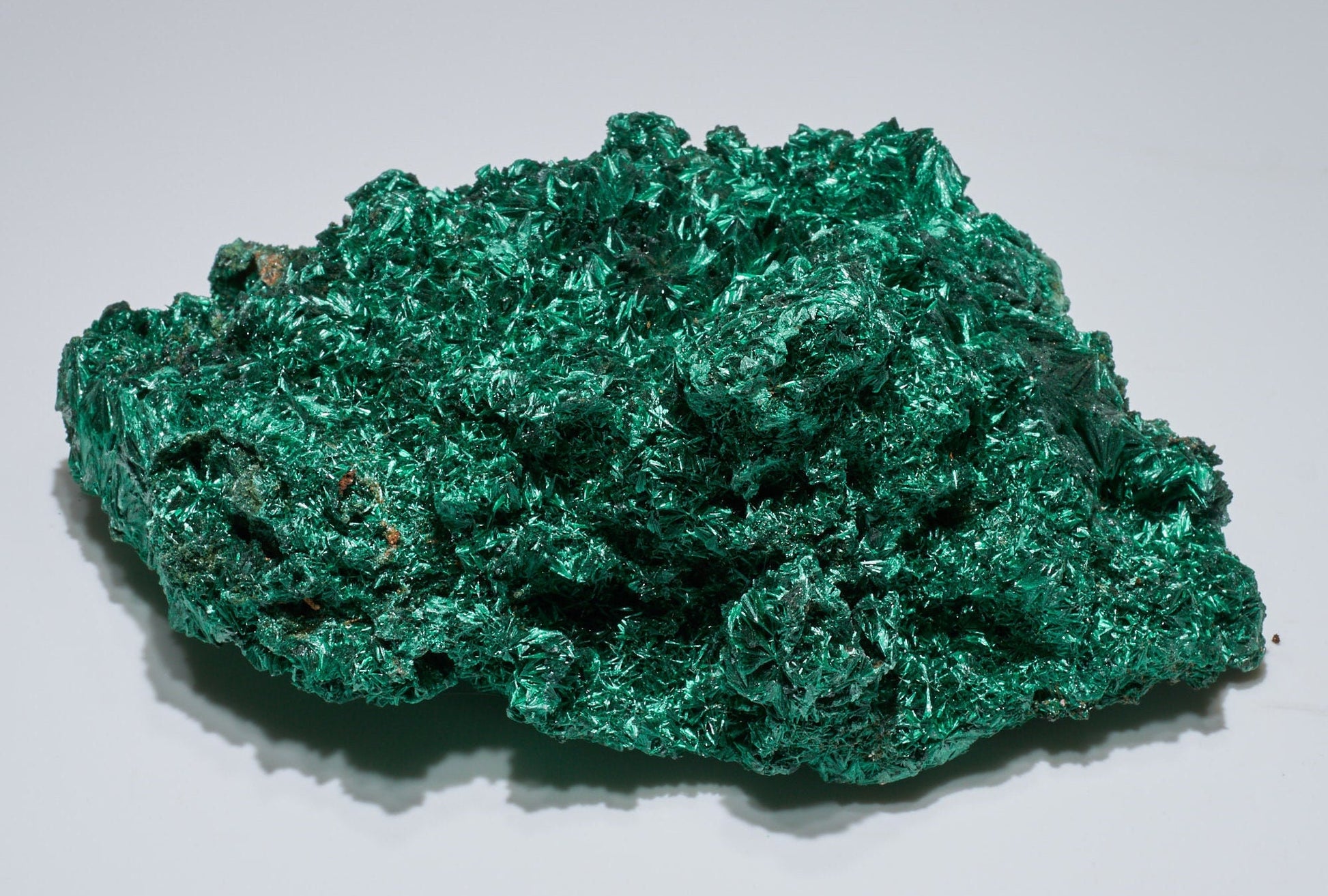 5.92 LB Fibrous Malachite Collector Specimen